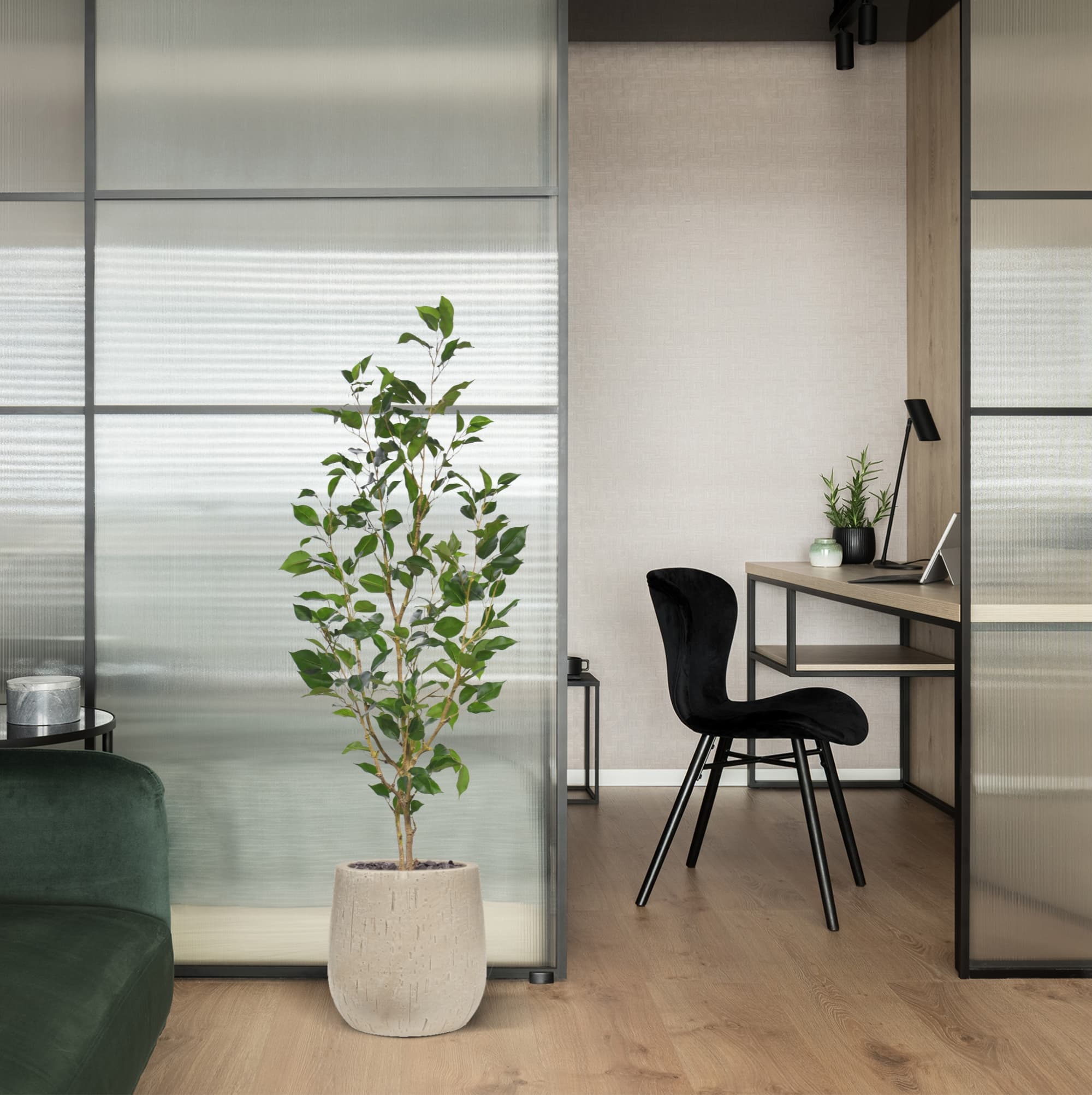 Ficus Exotica NT Artificiais 120cm