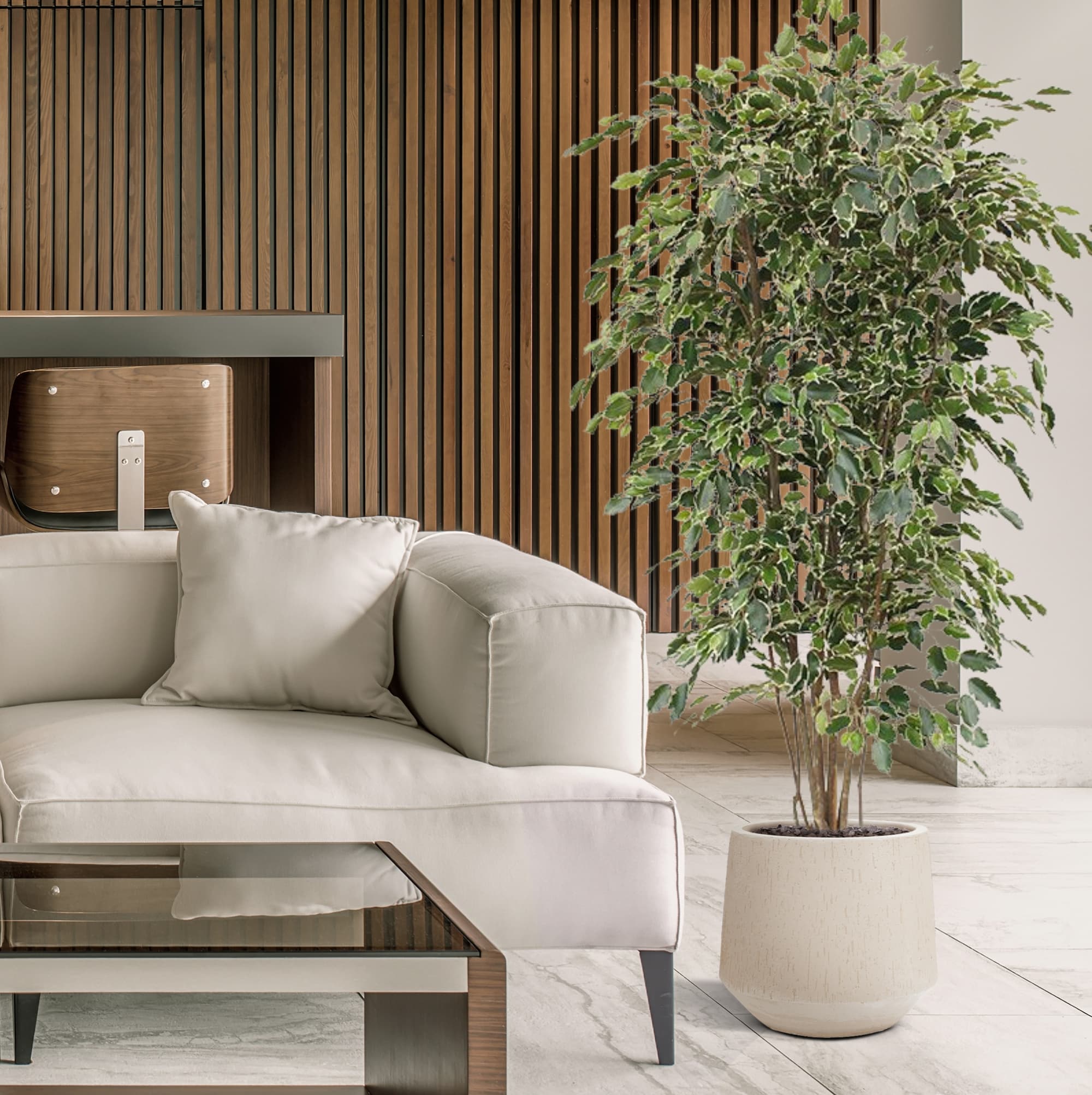 Ficus Exotica deluxe árvore artificial 210cm - variegada