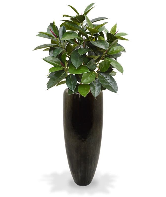 Elastica Robusta planta artificial 90cm - verde
