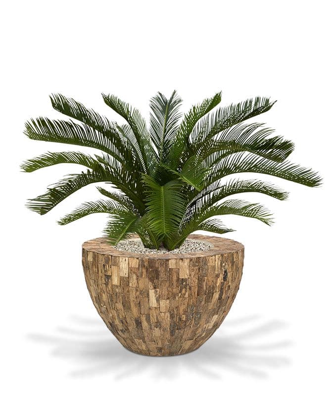 Cycas deluxe palma artificial M 80cm