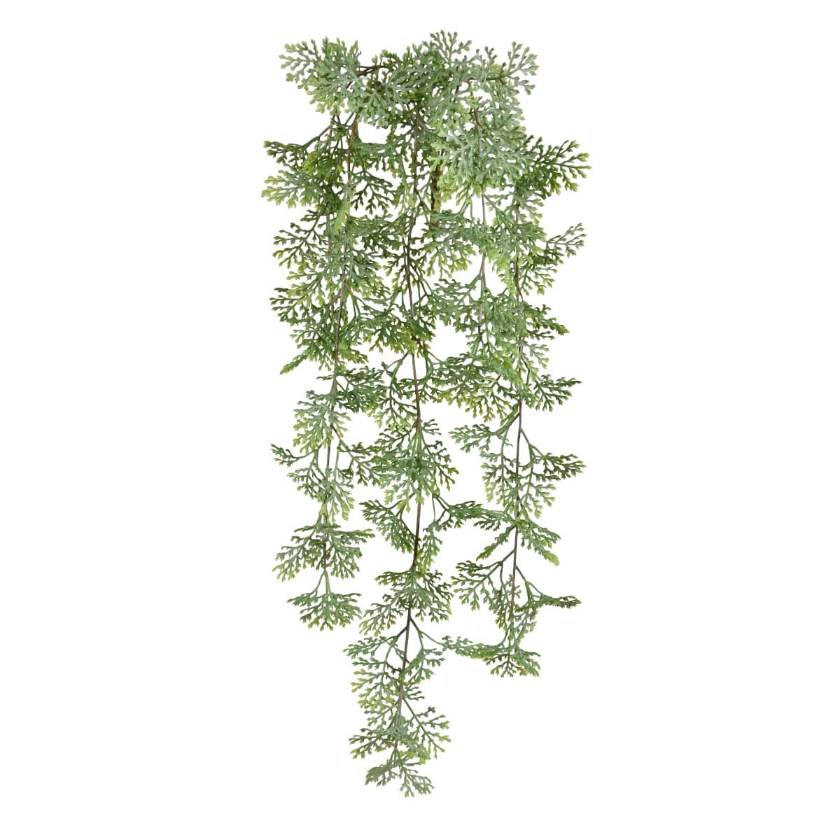 Planta suspensa de cedro 55cm cinzento