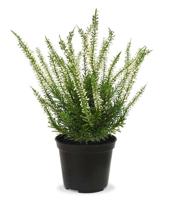 Erica planta artificial de urze 25cm - creme