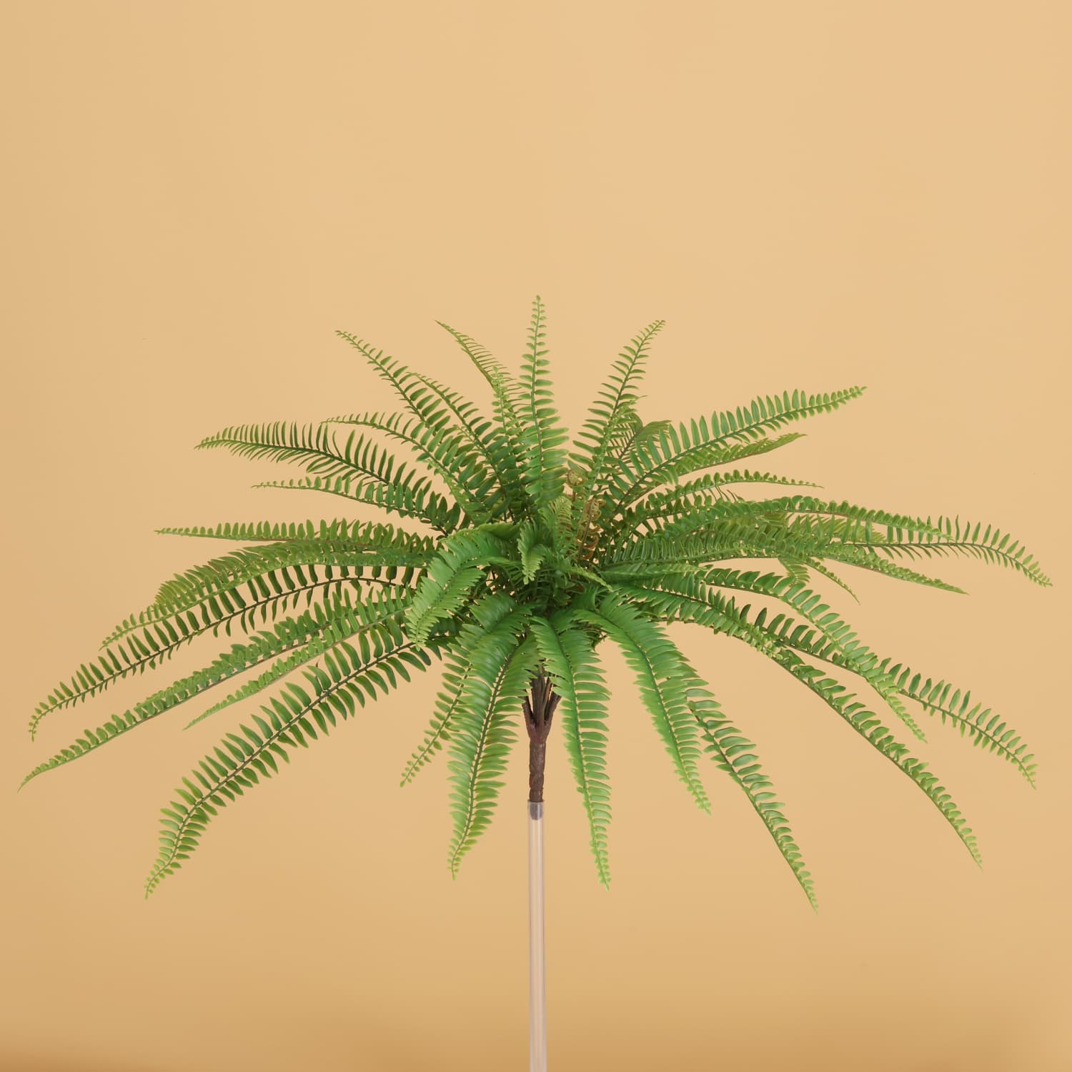 Felce artificiale Boston D65cm RT