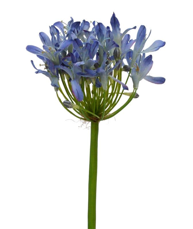 Agapanthus ramo artificial Deluxe lilás de 60 cm
