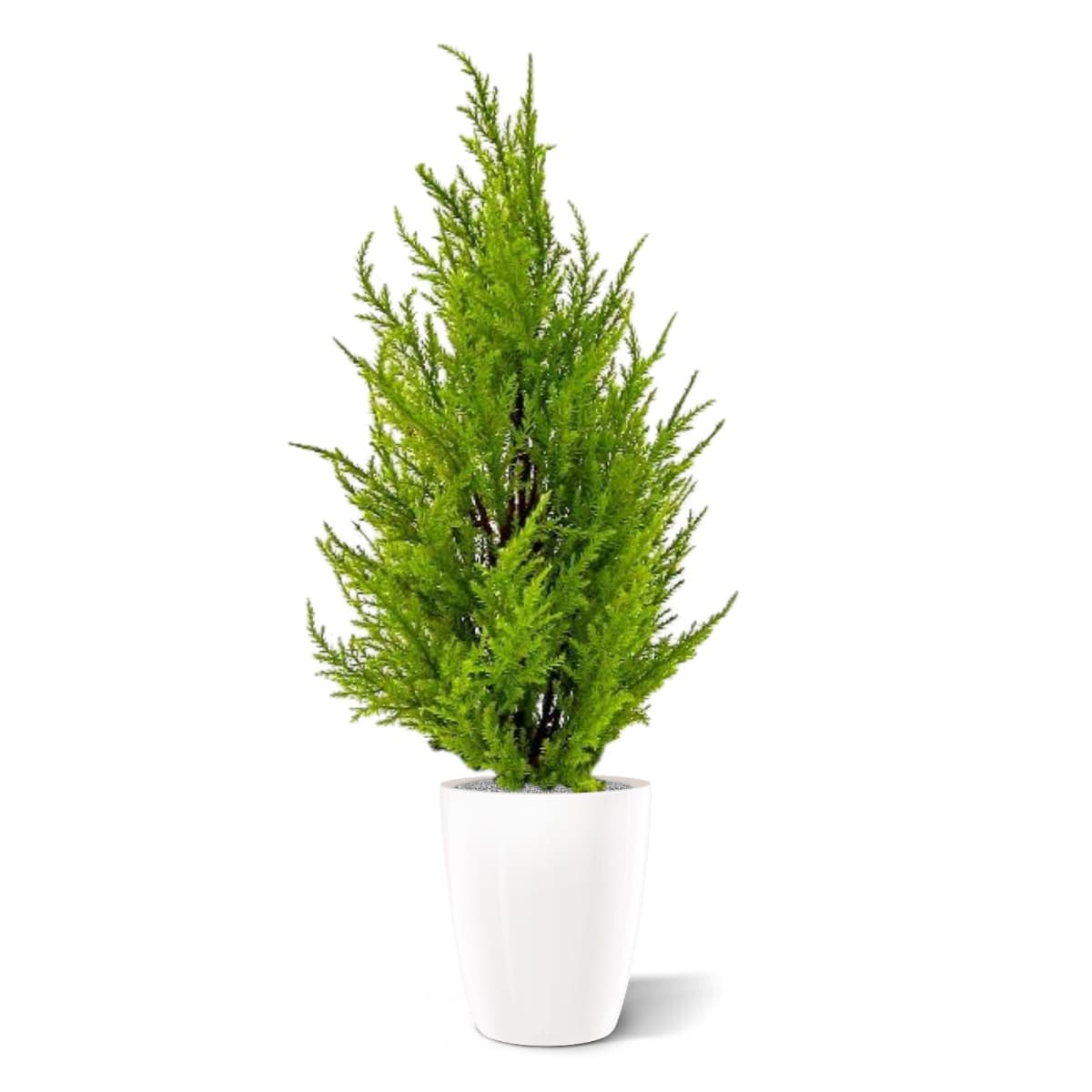 Planta artificial de coníferas 45cm - amarelo/verde
