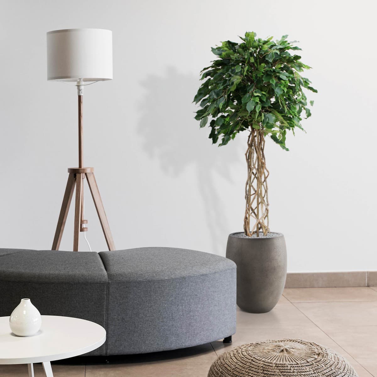Ficus Exotica bulbo planta artificial em caule 150cm