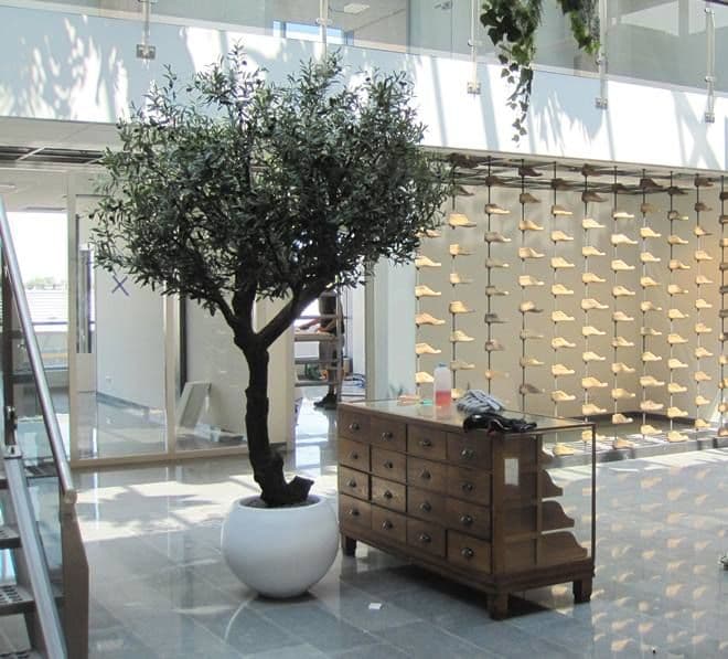 Oliveira Artificial Gigante 275 cm em forma de Y
