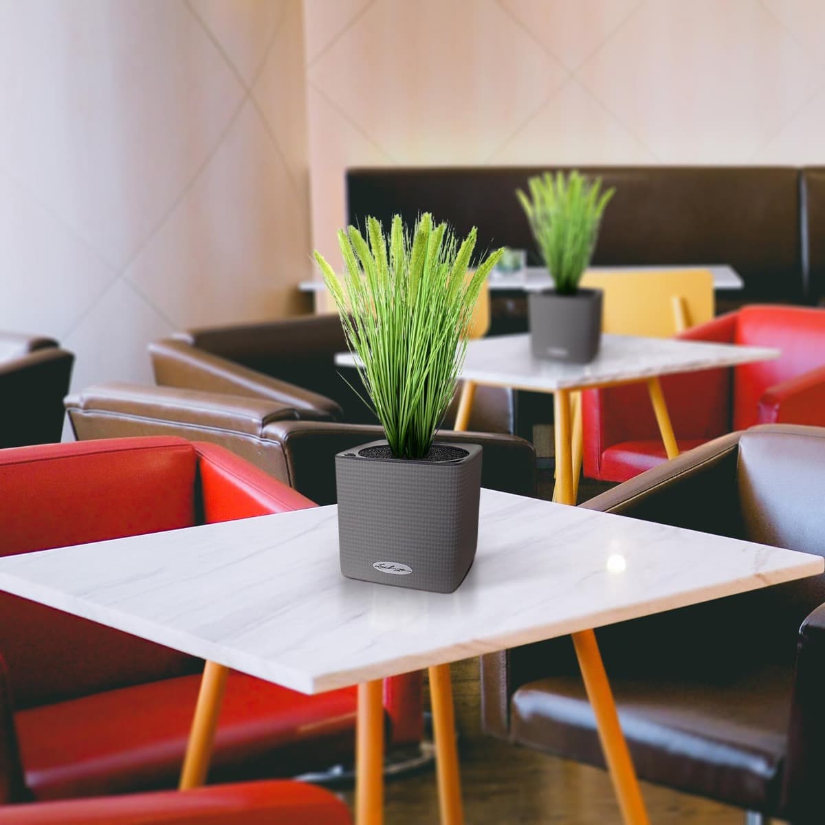 Pennisetum planta de relva artificial de ameixa 50cm em vaso 12cm