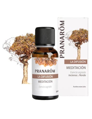 Pranarom Difusão Meditação 30 Ml - Pranarom